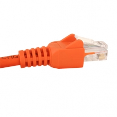 Cable UTP Wirepath>