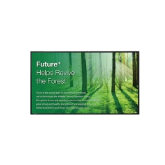 Monitor Profesional>