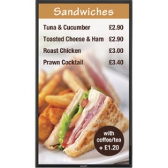 Monitor Profesional>