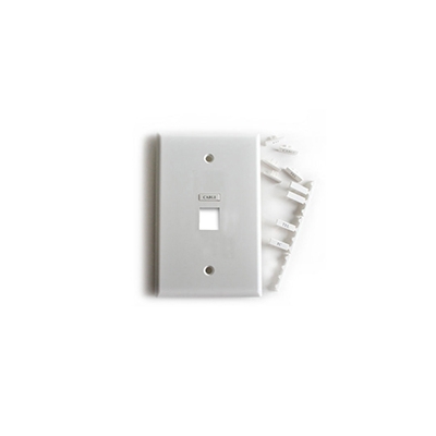 Wirepath Icon 1-Port Midi Wall Plate with Name Inserts (pieza) Blanco