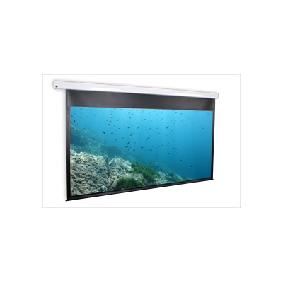 Dragonfly Motorized 16:9 Matte White Projection Screen 100