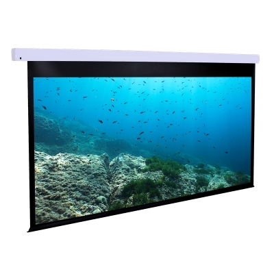 Dragonfly Motorized 16:9 Matte White Projection Screen 120