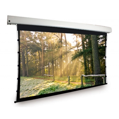 Dragonfly Motorized Tab Tension 16:9 High Contrast Projection Screen 100
