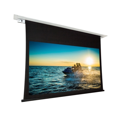Dragonfly Recessed Motorized High Contrast Non Tab Tension Projection Screens 100