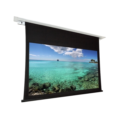 Dragonfly Recessed Motorized Matte White Non Tab Tension Projection Screen (16:9) 120