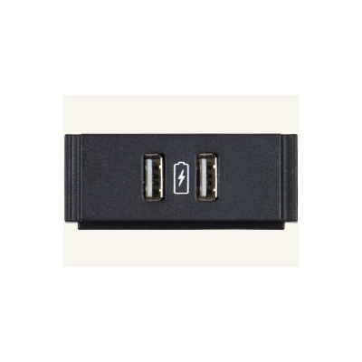 AMX Dual USB Power Module with Printed Charging Symbol (pieza) Negro