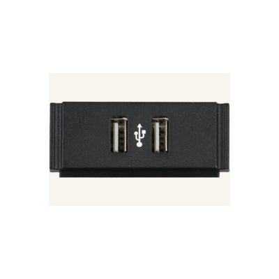 AMX Dual USB Module with Printed USB Symbol (pieza) Negro