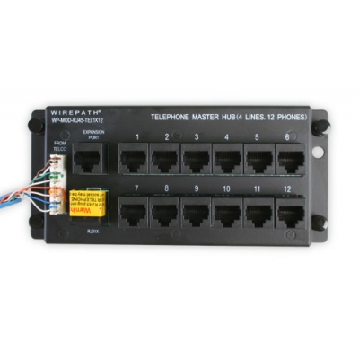 Wirepath  1 x 12 Telephone Module with 12-RJ45 Jacks and RJ31X Security Interface (pieza)Negro