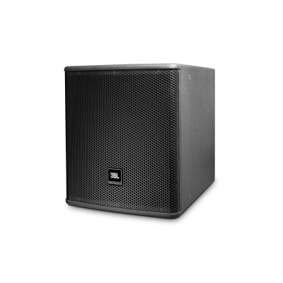 JBL Professional AE Expansion Series 15