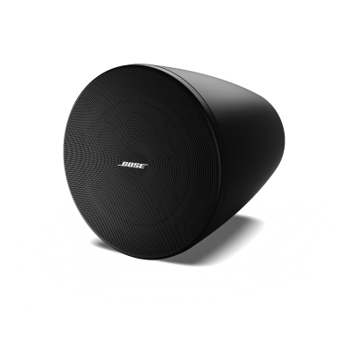 Bose DesignMax DM5P loudspeaker 5.25
